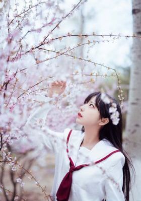 孤舟电视剧免费观看完整版高清